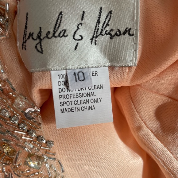 Angela & Alison gown. Size 10. Color Apricot - Picture 6 of 10